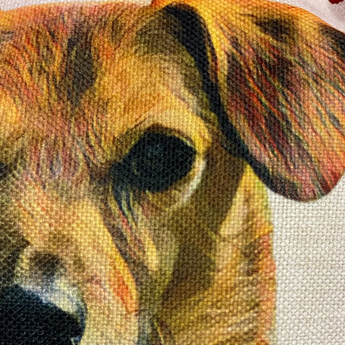 Pet Portrait Cushions